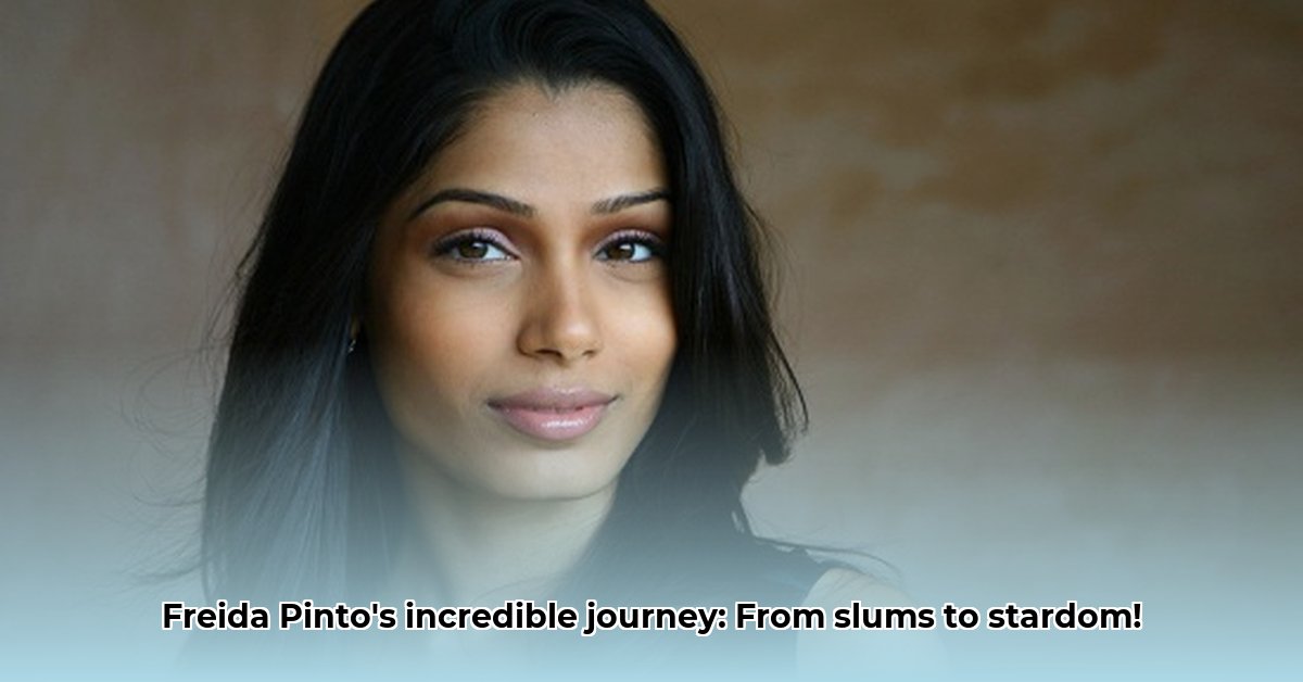 freida-pinto-net-worth